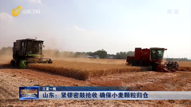 【三夏一线】山东：紧锣密鼓抢收 确保小麦颗粒归仓