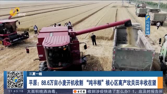 【三夏一线】平原：88.6万亩小麦开机收割 “吨半粮”核心区高产攻关田丰收在望