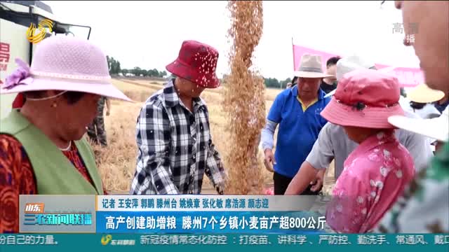 【“三夏”进行时】高产创建增粮 滕州7个乡镇小麦亩产超800公斤