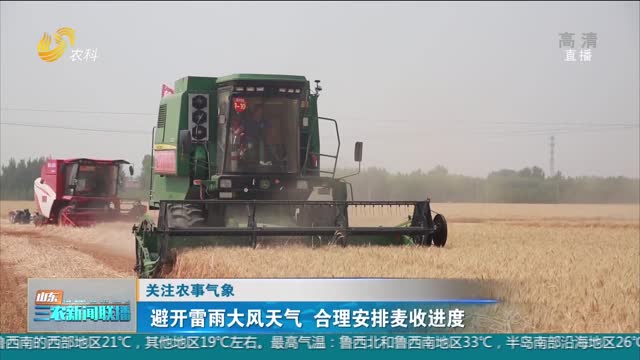【关注农事气象】避开雷雨大风天气 合理安排麦收进度