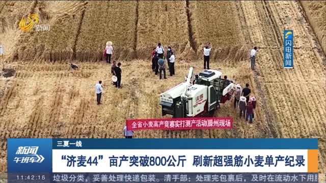 【三夏一线】“济麦44”亩产突破800公斤 刷新超强筋小麦单产纪录