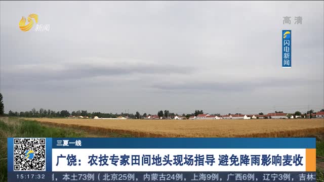 【三夏一线】广饶：农技专家田间地头现场指导 避免降雨影响麦收