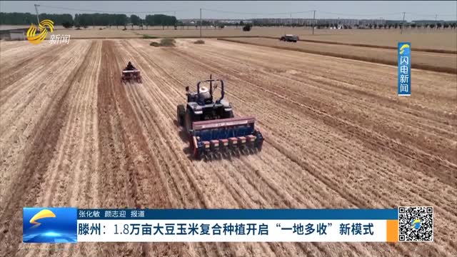 《聚焦滕州》滕州：1.8万亩大豆玉米复合种植开启“一地多收”新模式