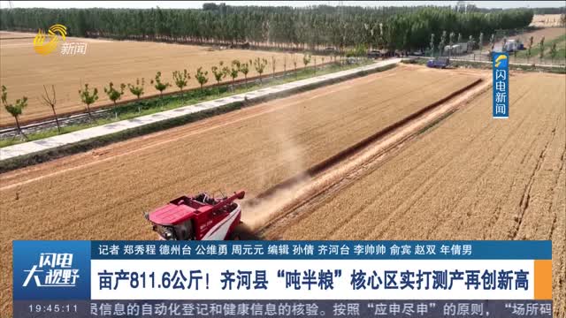 【三夏一线】亩产811.6公斤！齐河县“吨半粮”核心区实打测产再创新高