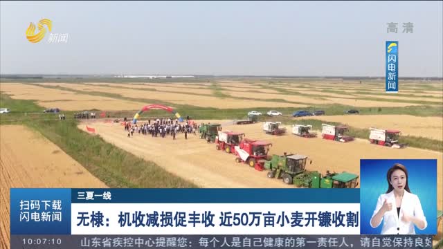 【三夏一线】无棣：机收减损促丰收 近50万亩小麦开镰收割