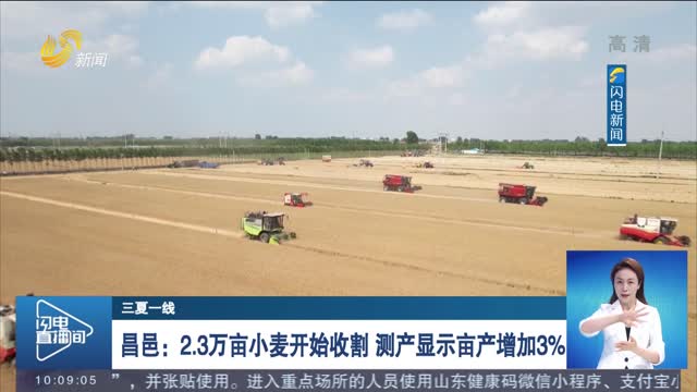 【三夏一线】昌邑：2.3万亩小麦开始收割 测产显示亩产增加3%