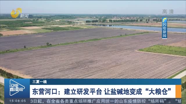 【三夏一线】东营河口：建立研发平台 让盐碱地变成“大粮仓”