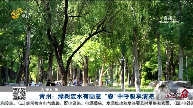【大美山东】青州：绿树流水有画意 “森”中呼吸享清凉