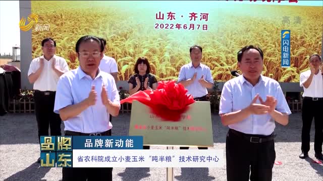 【品牌新动能】省农科院成立小麦玉米“吨半粮”技术研究中心