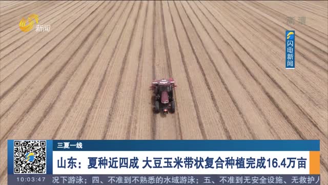 【三夏一线】山东：夏种近四成 大豆玉米带状复合种植完成16.4万亩