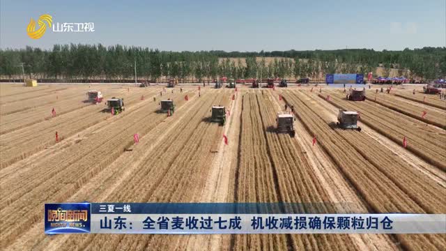 【三夏一线】山东：全省麦收过七成 机收减损确保颗粒归仓