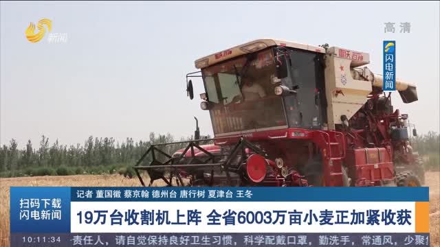 【权威发布】19万台收割机上阵 全省6003万亩小麦正加紧收获