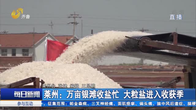 莱州：万亩银滩收盐忙 大粒盐进入收获季
