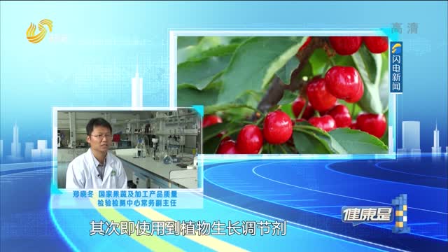 健康大“真”探 櫻桃個大是用了膨大劑嗎？