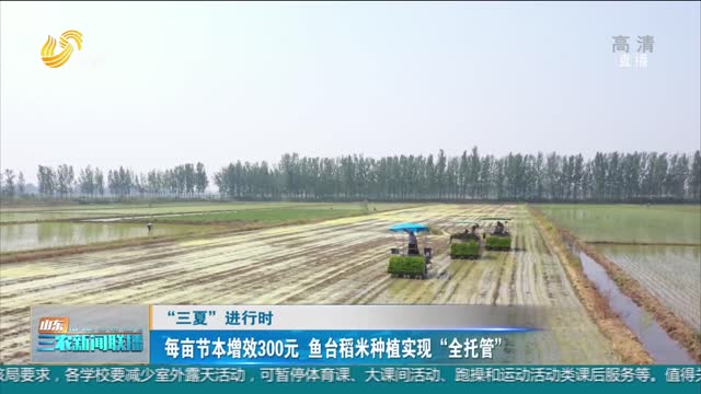 【“三夏”进行时】每亩节本增效300元 鱼台稻米种植实现“全托管”