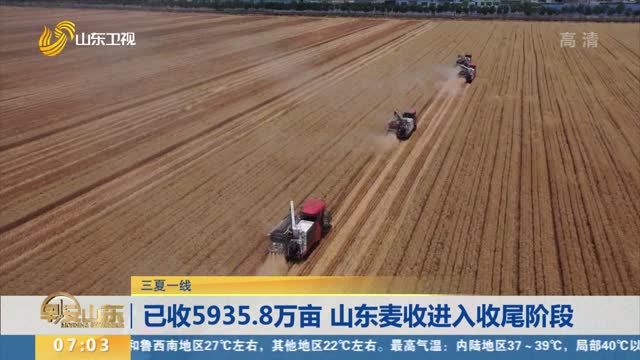 【三夏一線】已收5935.8萬畝 山東麥收進入收尾階段