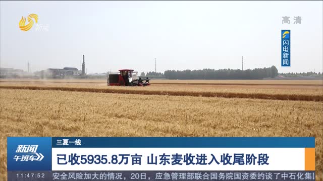 【三夏一线】已收5935.8万亩 山东麦收进入收尾阶段