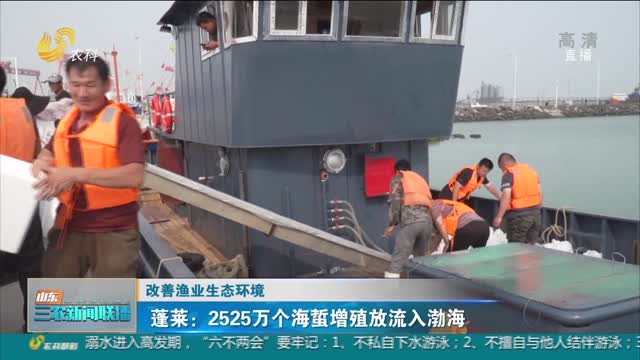 【改善渔业生态环境】蓬莱：2525万个海蜇增殖放流入渤海