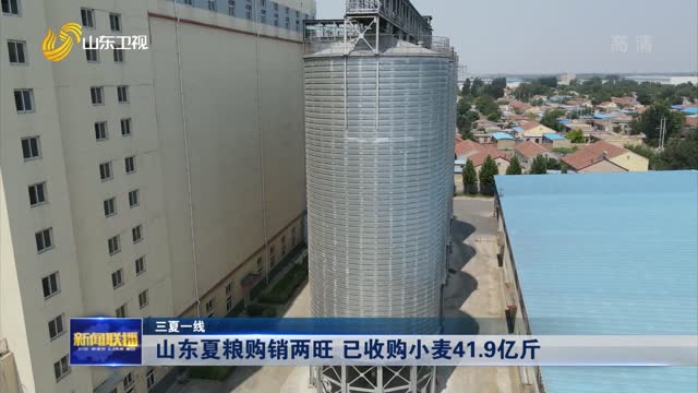 山東夏糧購銷兩旺 已收購小麥41.9億斤【三夏一線】