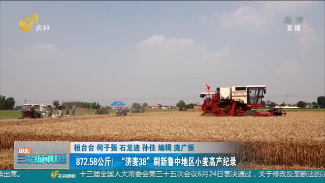 【“三夏”进行时】872.58公斤！“济麦38”刷新鲁中地区小麦高产纪录