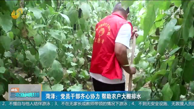 【防汛在一线】菏泽：党员干部齐心协力 帮助农户大棚排水