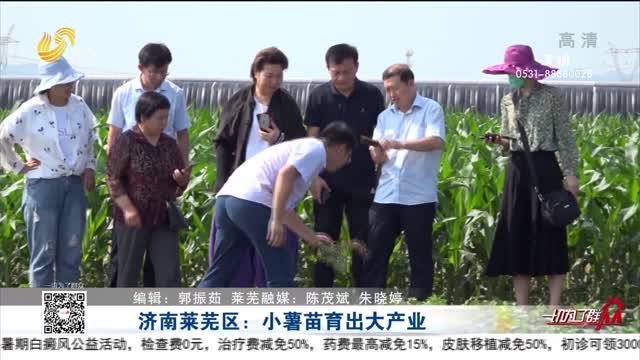 济南莱芜区：小薯苗育出大产业