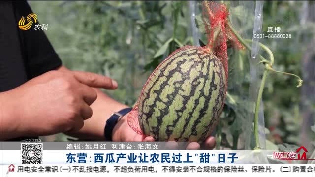 东营：西瓜产业让农民过上“甜”日子