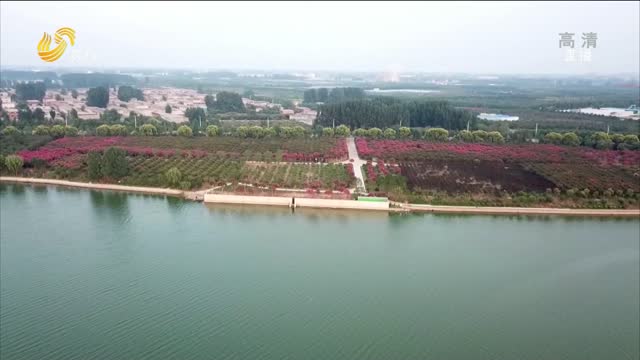 临沂滨河湿地公园