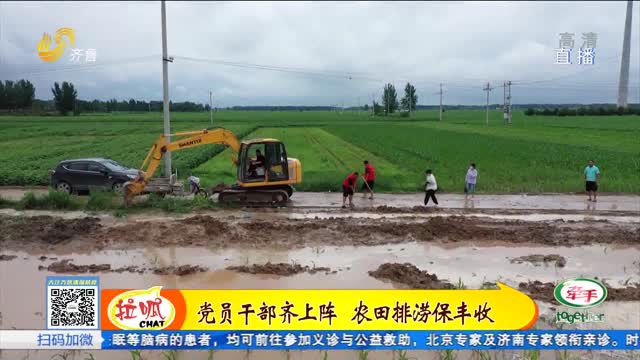 武城：党员干部齐上阵 农田排涝保丰收