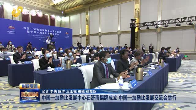 中国—加勒比发展中心在济南揭牌成立 中国—加勒比发展交流会举行
