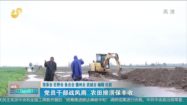 【防汛在一线】党员干部战风雨 农田排涝保丰收