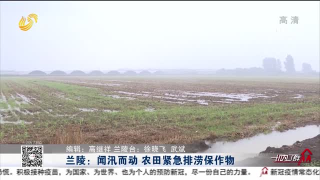 兰陵：闻汛而动 农田紧急排涝保作物