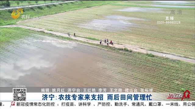 济宁：农技专家来支招 雨后田间管理忙