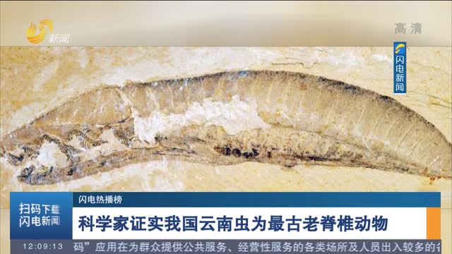 【闪电热播榜】科学家证实我国云南虫为最古老脊椎动物