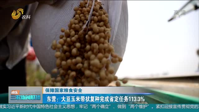 【保障国家粮食安全】东营：大豆玉米带状复种完成省定任务113.3%