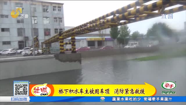 济南：桥下积水车主被困车顶消防救援