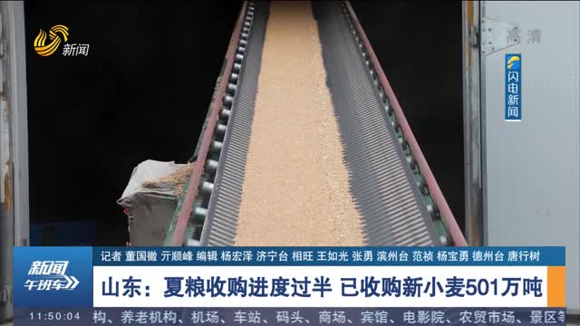 山东：夏粮收购进度过半 已收购新小麦501万吨