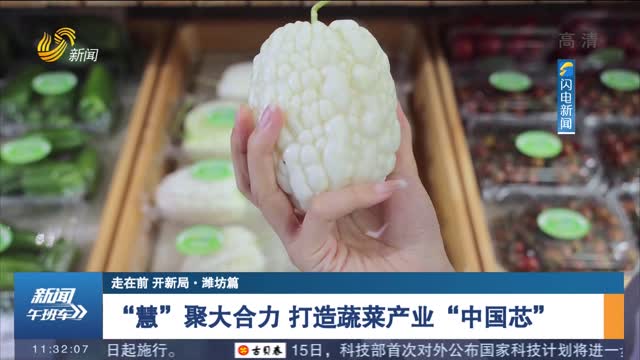 【走在前 开新局·潍坊篇】“慧”聚大合力 打造蔬菜产业“中国芯”