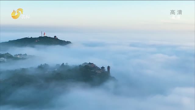 烟台蓬莱：楼阁凌空如梦似幻的平流雾景观