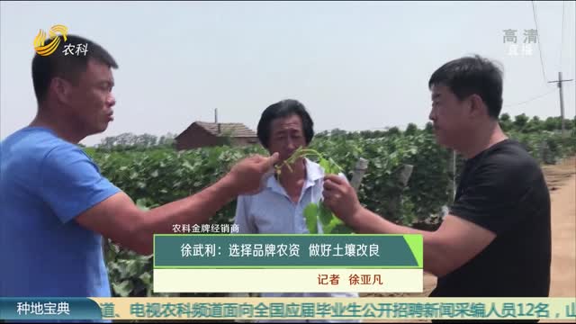 【農科金牌經銷商】徐武利：選擇品牌農資 做好土壤改良