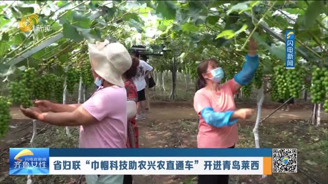 省婦聯“巾幗科技助農興農直通車”開進青島萊西