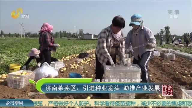 济南莱芜区：引进种业龙头 助推产业发展