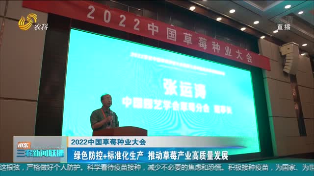 【2022中国草莓种业大会】绿色防控+标准化生产 推动草莓产业高质量发展