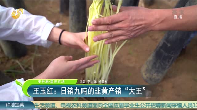 【史丹利·星光農場】王玉紅：日銷九噸的韭黃產銷“大王”