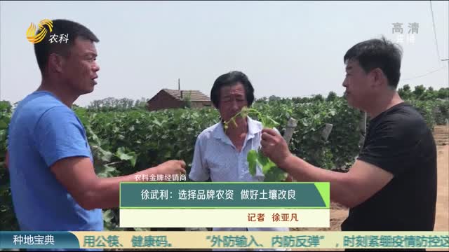 【農科金牌經銷商】徐武利：選擇品牌農資 做好土壤改良