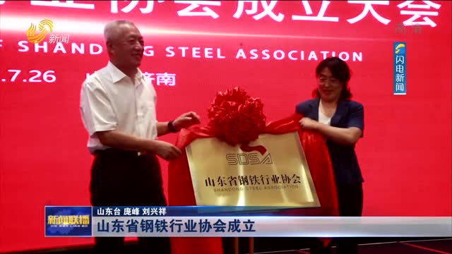 山东省钢铁行业协会成立