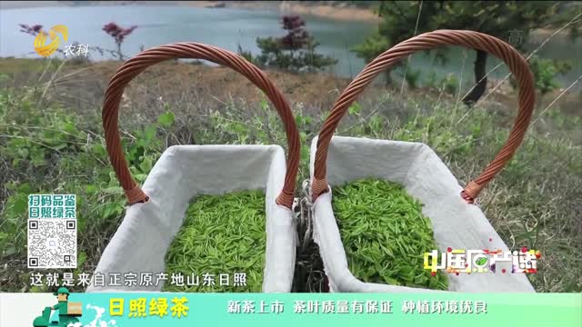 20220726《中國原產遞》：日照綠茶