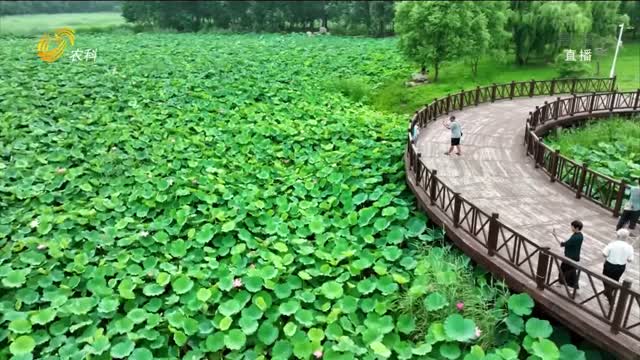 青州湿地公园