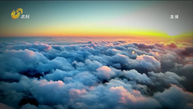 威海昆嵛山 如梦如幻的云海景观