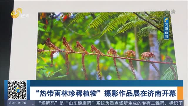 “熱帶雨林珍稀植物”攝影作品展在濟南開幕